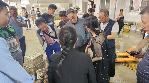 수협중앙회는 지난 11일부터 5일 동안 굴수하식수협의 중국 시장 개척을 지원했다.