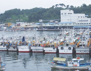 어업인교육문화복지재단 설립으로본 어업인 지원예산
