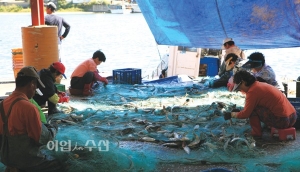 [수협법개정]어업인 지원, 조합 기능 강화에 초점