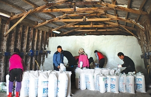 수협노량진수산(주) 청정해역 천일염 판매