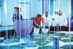 해양수산부, 알제리 새우양식연구센터 준공식