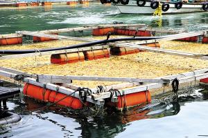 자연·사회재난 피해 어업인 지원 강화